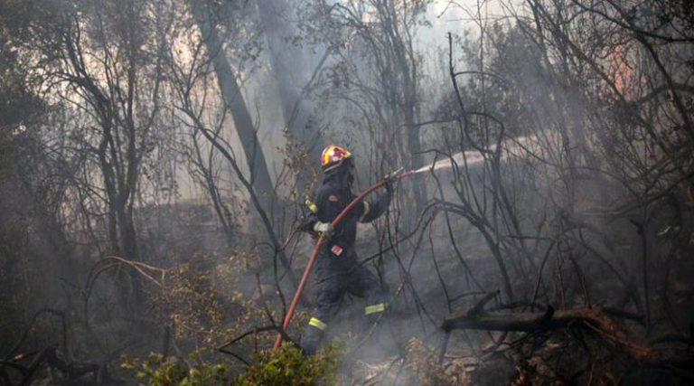 Συναγερμός για φωτιά στο Κορωπί! 40 πυροσβέστες και 12 οχήματα επί τόπου…