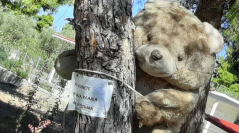 Mια αρκούδα “κρεμασμένη” σε ένα πεύκο στο Ζούμπερι! Τι συμβαίνει;