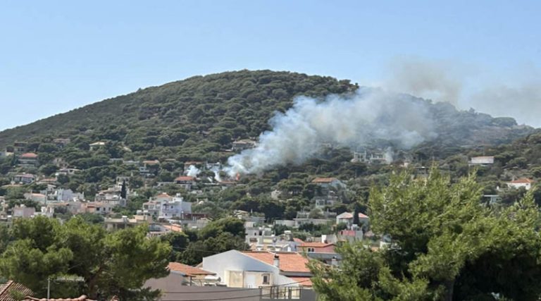 Φωτιά στην Αρτέμιδα! Απειλούνται σπίτια