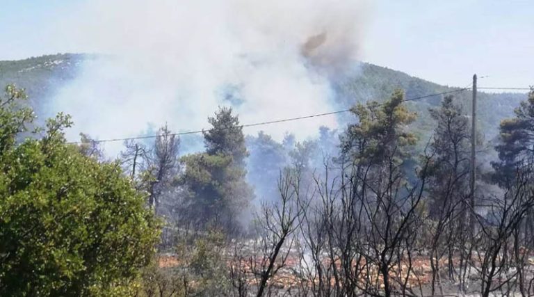 Ωρωπός: Η φωτιά καίει σε δύσβατη περιοχή – Έκλεισαν δρόμοι
