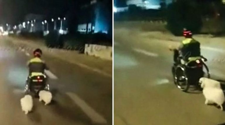 Σοκ στη Βάρκιζα: 87χρονος o οδηγός που σκότωσε 40χρονο σε αμαξίδιο – Νεκρά και δύο σκυλιά