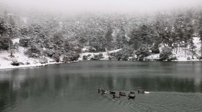 Στα λευκά Λίμνη Μπελέτσι – Ιπποκράτειος (χιονισμένη) Πολιτεία (φωτό)